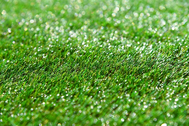 Artificial Turf and Fibre Masterbatch